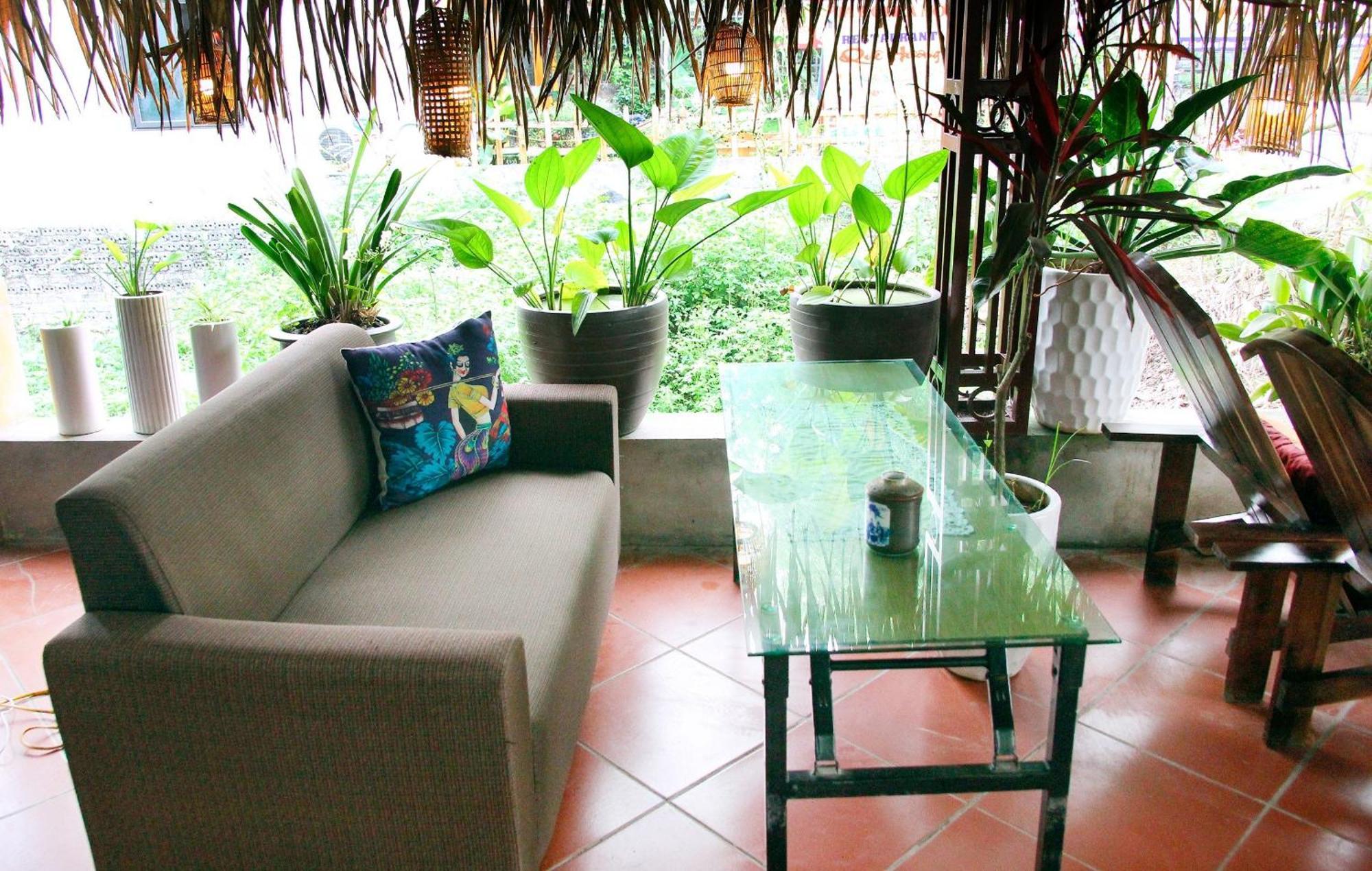 Tam Coc Lights Hotel Ninh Binh Buitenkant foto